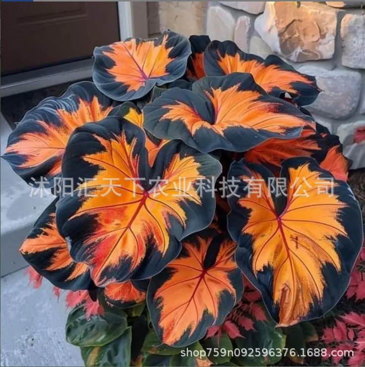 微信图片_20251025114314_1326_56