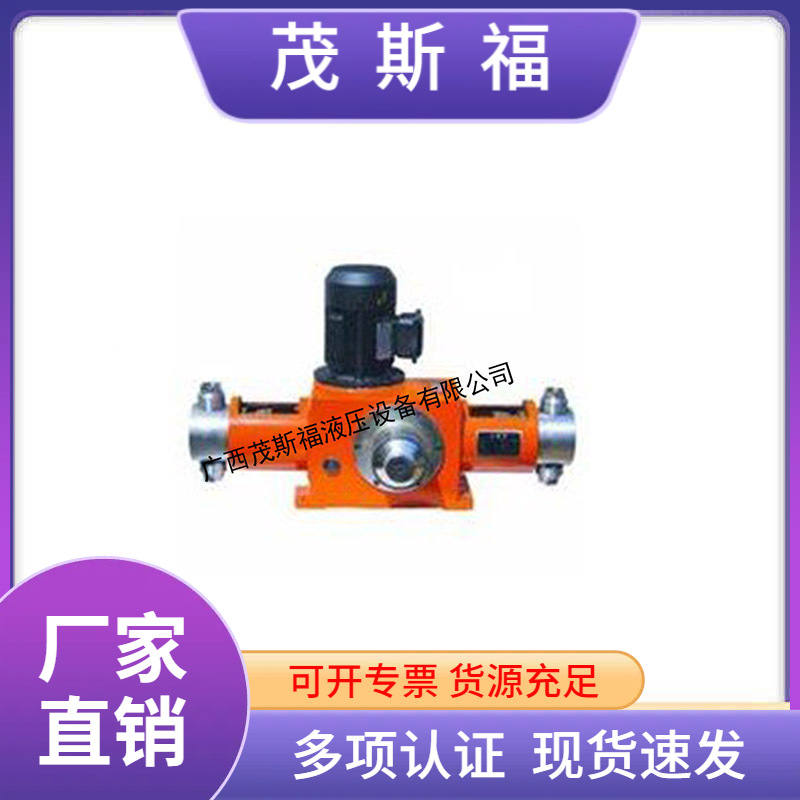 广西厂家供应2JX-C柱塞式计量泵 电动柱塞计量泵 2JX-C中型泵