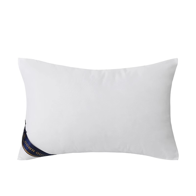 Hotel Core Neck Support Feather Velvet Pillows Set Of Two White_voghion.com