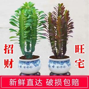 ��ؔ�լ����ֲ�������k�����҃ȿ͏d����ȩ�����՚�������