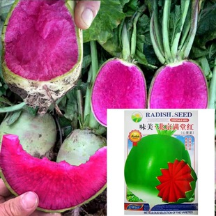 �������}���N�ӱ����M�üt���}��ˮ���ļ����̨�����߲˷N��