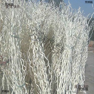 ��ɣ �������������~��֧���l �ט�֦�ɘ�֦�ɻ��[���b���̫��