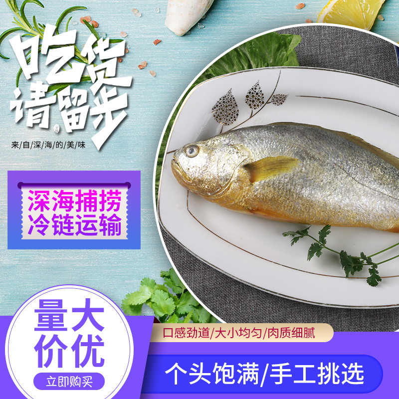 小黄鱼新鲜黄花鱼野生海鱼冰冻海鲜水产海捕速冻野生烧烤小黄鱼