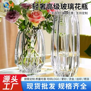 客厅高级感插花水养鲜花装饰精致花器摆件北欧轻奢玻璃花瓶透明