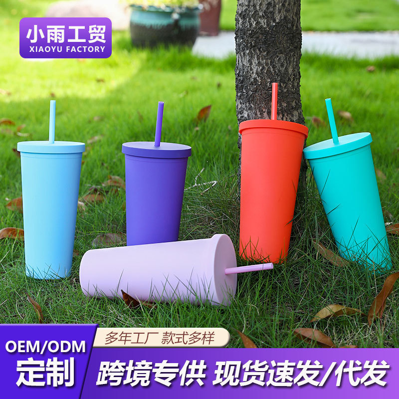 亚马逊双层塑料吸管杯  24OZ容量户外平盖随手水杯跨境专供冷饮杯|undefined
