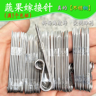 ������޽�ᘼ޽ӳ��W�߹�������������߲�ѿ�ӵ��޽ӵ���Ɓ����