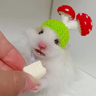 Small Animal Hat Handmade Crocheted Mushroom Hat Hamster Snake Lizard Guinea Pig Hat Festival Party Hat Props Photo Hat