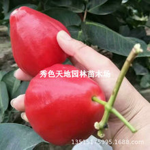 ���rɏ�F�������ȫ�ڽ������ǰű��ش�����~�tɏ�F�����ļ��Y��