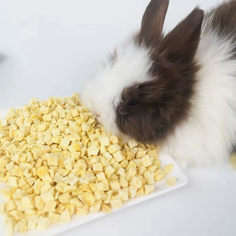 Оптовая Продажа с фабрики обезвоженные яблочные зерна яблочные сухофрукты сушеные закуски для домашних животных 1 кг