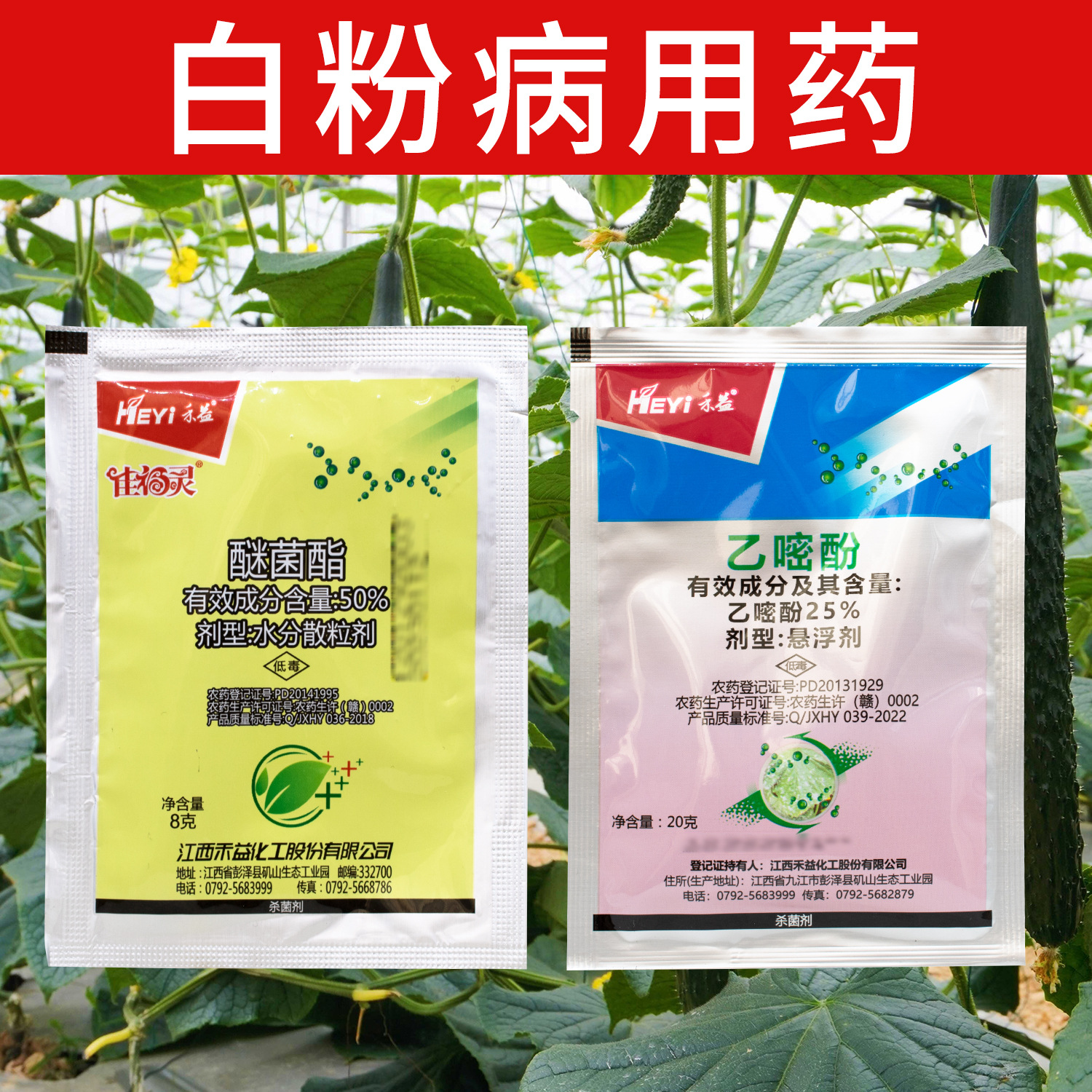 乙嘧酚醚菌酯杀菌剂防治白粉病农药白粉病杀菌药白粉病组合套装