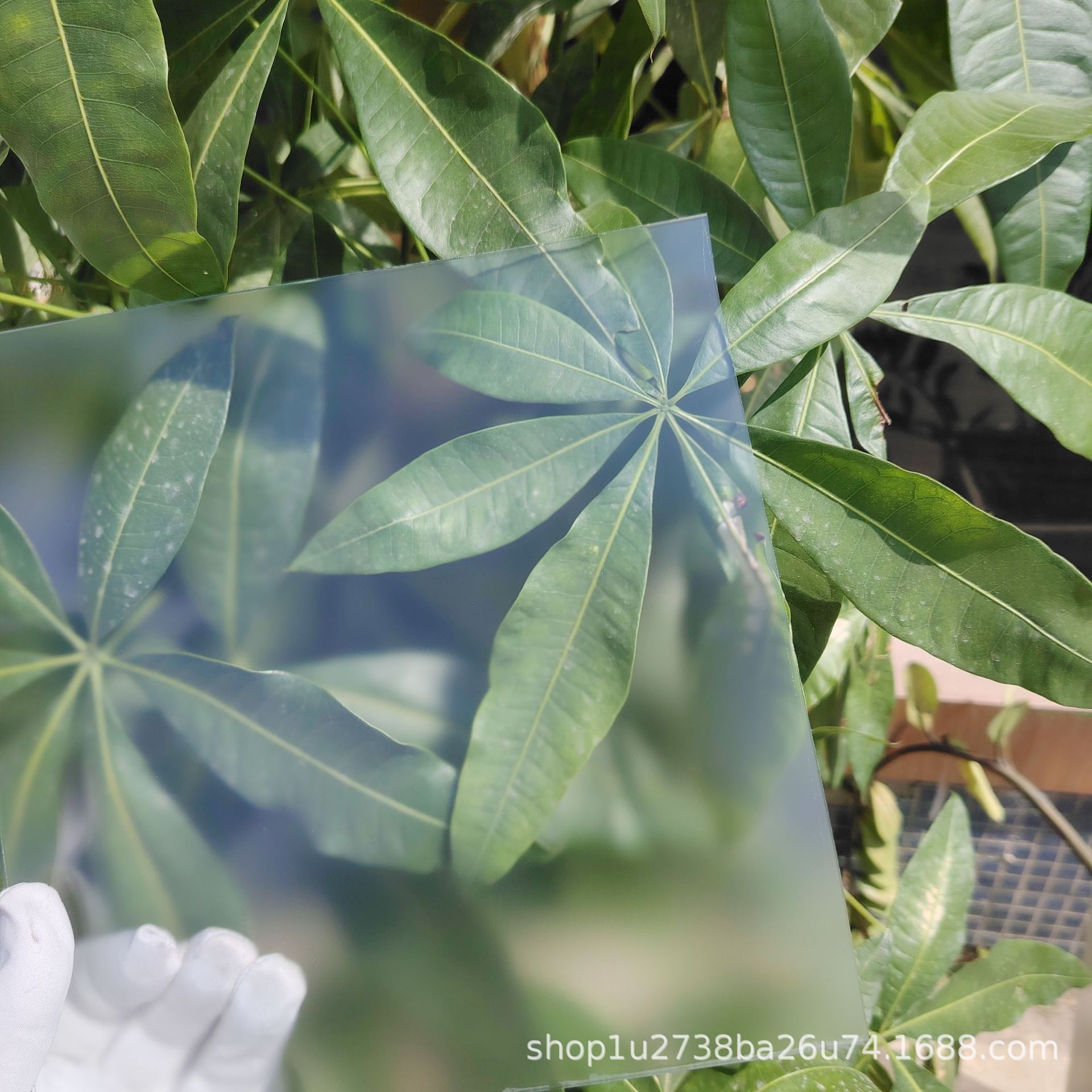 微信图片_20250305014527