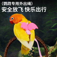Bird with Parrot Flying Rope, Zhen Feng Tiger Skin Peony Harness, Bird Walking Outfit, Outdoor Bird Walking Tool