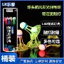 带灯桶装发光不烂羽毛球