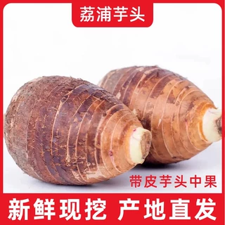广西特产荔浦芋头新鲜现摘现发槟榔芋香芋粉香糯芋头带皮5斤装