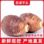 广西荔浦特产带皮槟榔芋