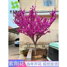 �ߗU���G������ͥԺ�ͺ����ԾG����ľ�������G�����L���䮔���_��