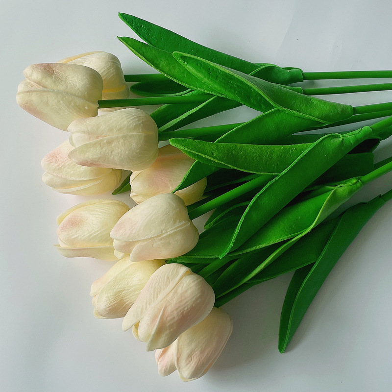 Puesta de sol Rosa Tulip