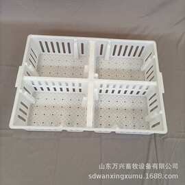 厂家供应四格小鸡筐塑料鸡苗笼塑料周转筐加固图片
