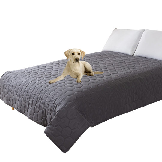 Cross-border New Waterproof Impermeable Pet Mattress Cover Amazon Hot Selling Cat and Dog Mattress Sofa Diaper Mat