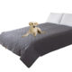 Cross-border New Waterproof Impermeable Pet Mattress Cover Amazon Hot Selling Cat and Dog Mattress Sofa Diaper Mat