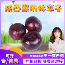 【严选】河南西峡黑布林 一件代发2/3斤应季新鲜水果黑宝石李子