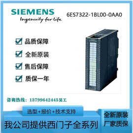 西门/子 S7-300 SM322 6ES7322-1BL00-0AA0 PLC 数字量输出模块