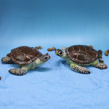 跨境海洋系列海龟摆件水族馆仿真花园微景观动物装饰品树脂工艺品