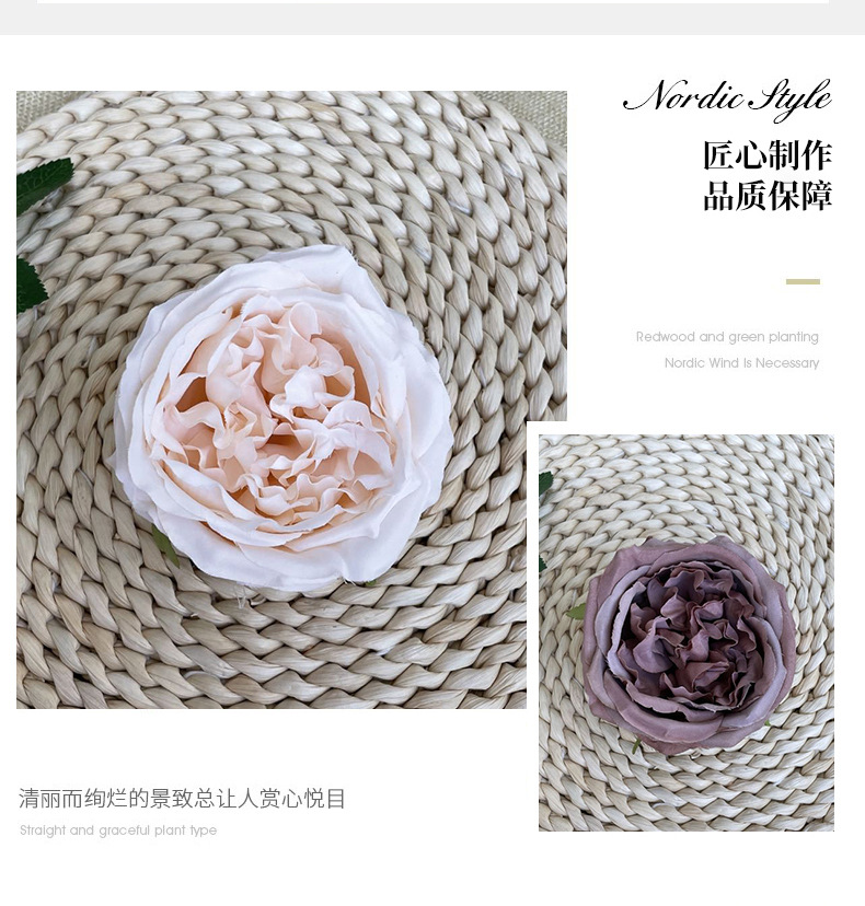 奥斯汀玫瑰花_03.jpg