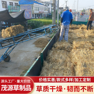 In-Stock Farmhouse Seasonal Straw Greenhouse Insulation Straw Filling Material Natural Dried Rice Straw for Bedding