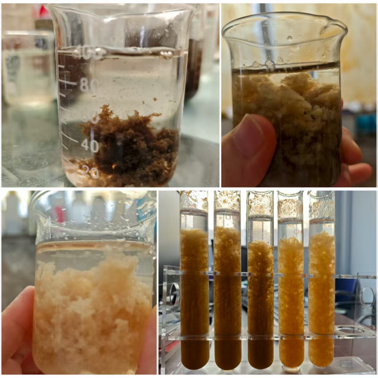 �۱�ϩ����������ֱ��ϴɰϴúר��pam��������ʯ��ר�þ۱�ϩ��