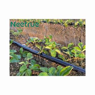 Irrigation Water Belt 1.0inch 2inch Water Pipe Anti-Freeze Explosion-Proof Agricultural Thickened High-Pressure Irrigation Pump Pumping Beltneetrue