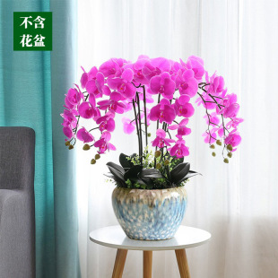 �����m���滨ˇ�[���͏d�҃Ƚ��������[���ɻ����[�O�ٻ��b�Ʒ