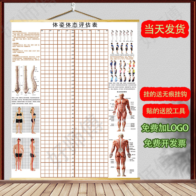 体态评估图健身房体测表瑜伽私教站姿形体脊椎身体装饰