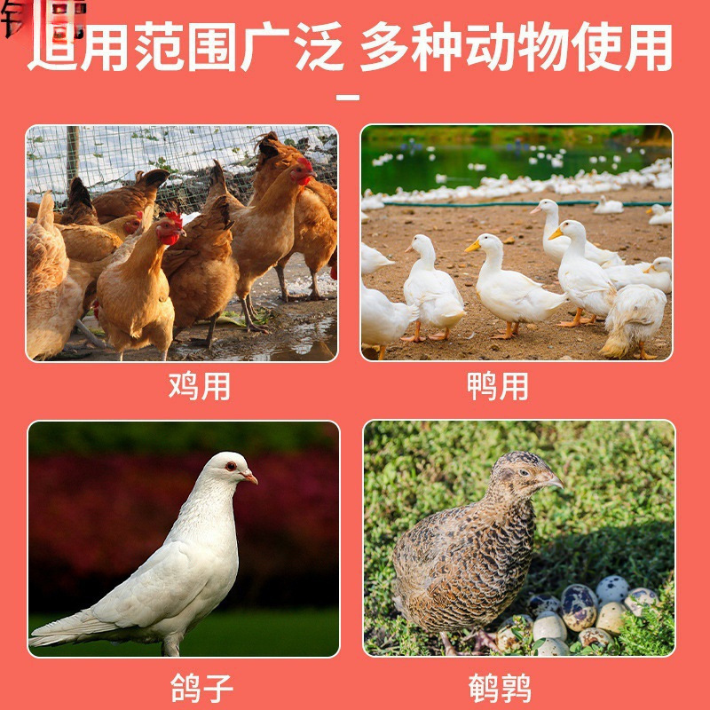 喂鸡自动下料器家禽喂食神器防鸟喂料桶养鸡食鸡鸭鹅自动喂食器|undefined
