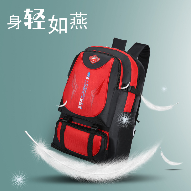 Backpack for traveling