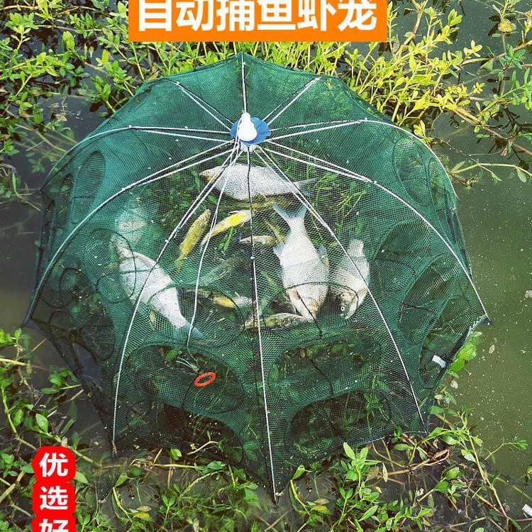 Red de pesca, red de tierra, jaula de pesca, solo no puede entrar, red de pesca, jaula de camarones, locha, anguila de arroz, red de pesca, jaula de camarones de río plegable