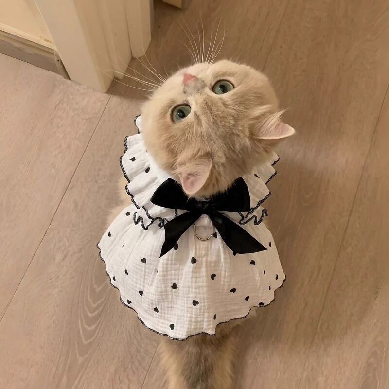 Pet Dress Supplies Clothing Spring and Summer Dog Cat Teddy Ragdoll Cat Love Cotton Dress