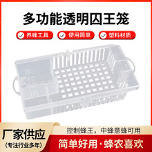 养蜂工具多功能透明囚王笼出口型邮寄蜂王王笼饲喂邮寄塑料王笼