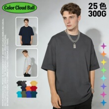 ��ʽ�ذ�300G����t����2026�ļ����ɼ�����ʿ�ٴ��t������