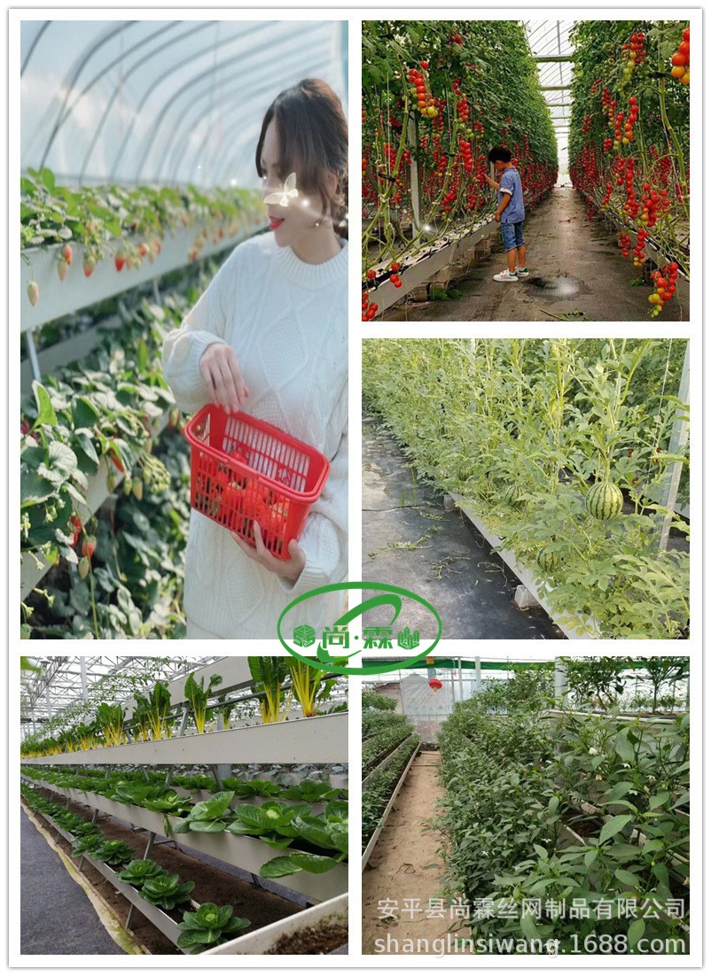 O1CN01BoADcc2FhI5YwsCxg_!!2209