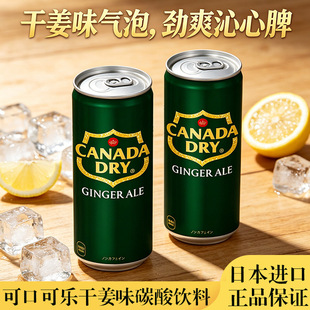 �ձ��M��Canada Dry��ζ��ˮ��Ͽɿڿɘ��ɽ�����ζ��̼֭����ˮ