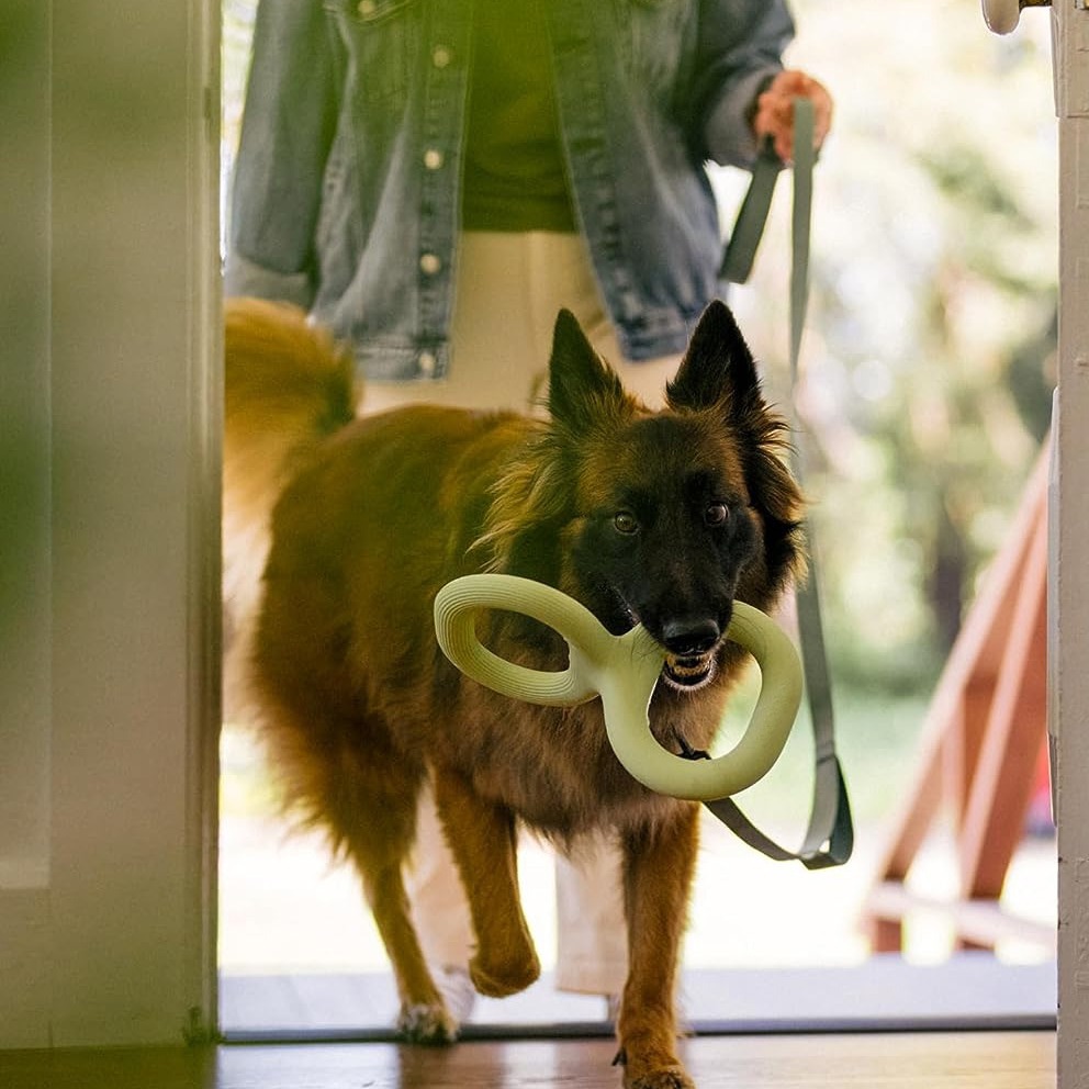 Material Rubber Pet Bite Pull Toy