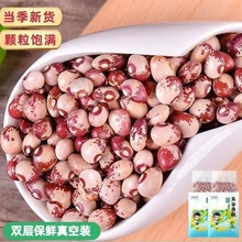 ��؈������Ů�Գ������ϼt������������s�Z�t����С�tܿ���