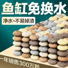 ~^VմɭhݞVăˮħ^V{ʯӢ~מV