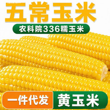 �_����ʳ��հ��b�r����336��Ŵ�S�����峣�����S������հ��b