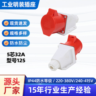 5-Core 32A Exposed Industrial Socket Connection Coupler Three-Phase Four-Wire Waterproof Butt Socket Model 125