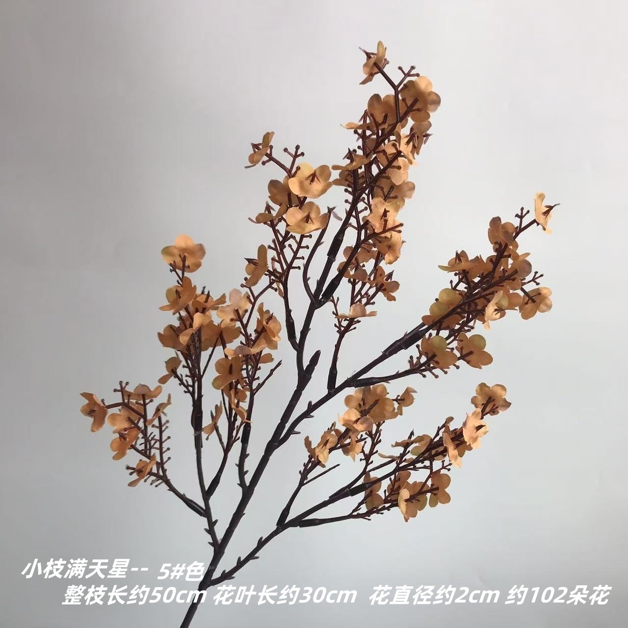 안개꽃의 나뭇가지 12#컬러-가을 오렌지