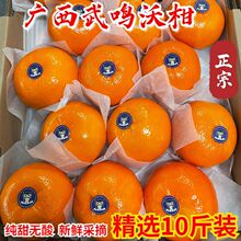 ���ڏV�����Q�ָ̬Fժ�������r�ǻʵ۸�ɰ���ّ����ЋDˮ���Y���b