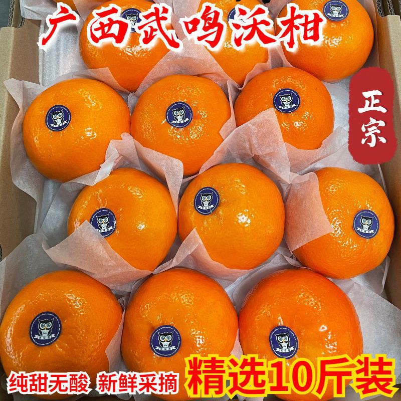 正宗广西武鸣沃柑现摘橘子新鲜非皇帝柑砂糖橘应季孕妇水果礼盒装