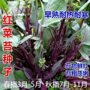 t޷NӲ̦Nϲ̦NѼtͲ˷N̨߲˷NӲ׷N